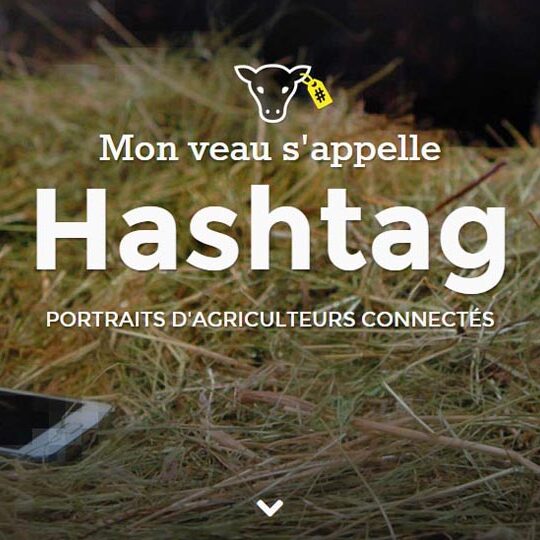 Mon veau s'appelle Hashtag